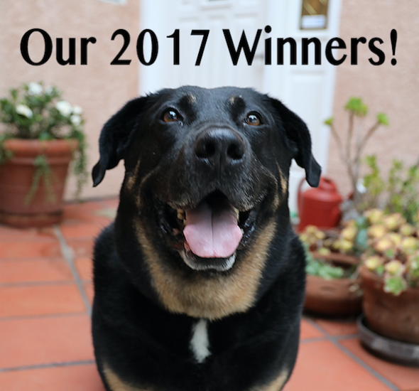 BlueCat’s 2017 Winners & Finalists