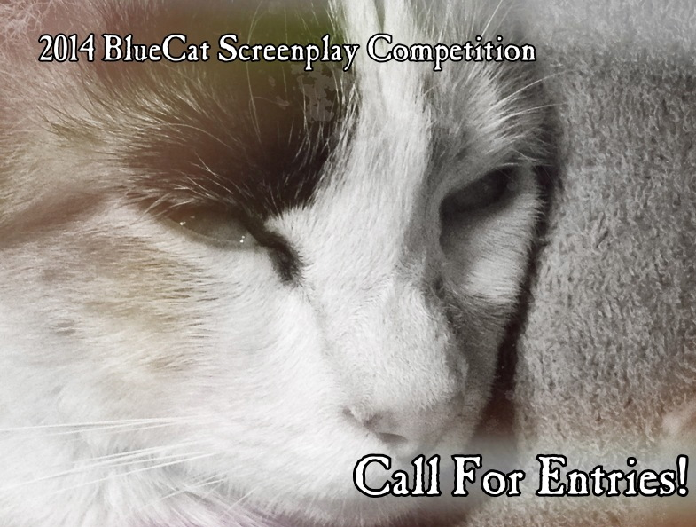 2014 BlueCat Screenplay Competition Call For Entries