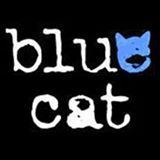 BlueCat Writers Share Success Stories