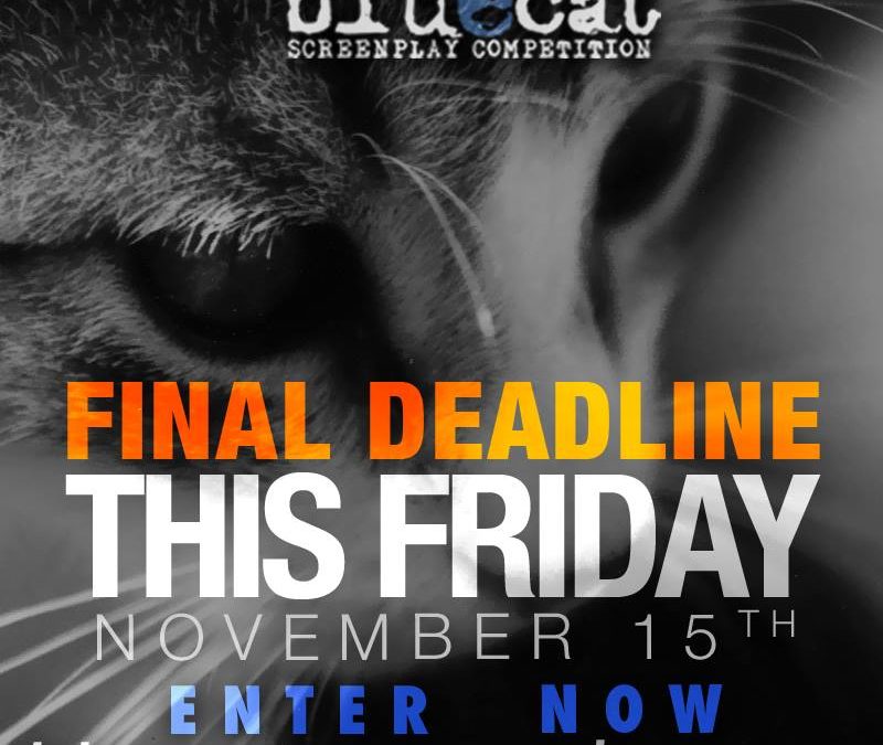 2014 Final Deadline: Friday, November 15th @ Midnight PST