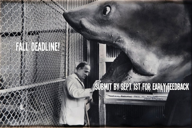 2014 BlueCat Screenplay Competition Fall Deadline: September 1st